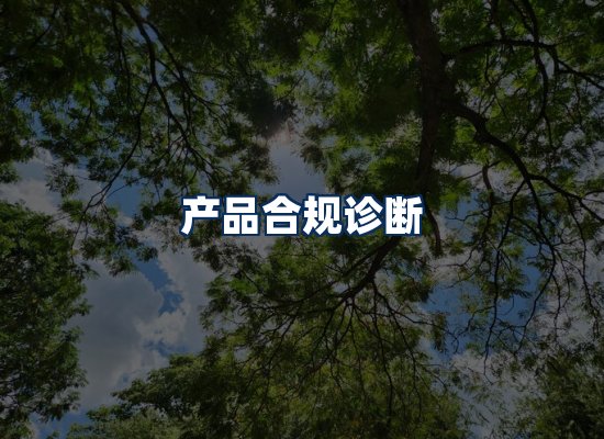 CE认证咨询服务场景